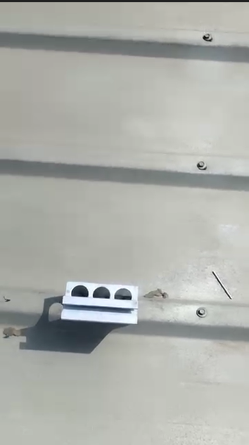 Video 1
