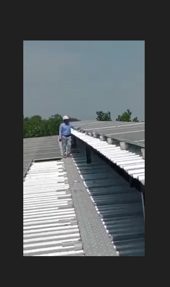 Video 1