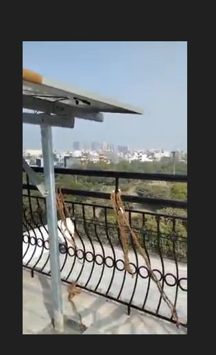 Video 1
